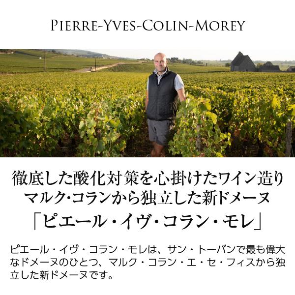 白ワイン フランス ブルゴーニュ ピエール イヴ コラン モレ サン トーバン プルミエ クリュ レ シャンプロ 2020 750ml     商品情報    ビール・洋酒 ＠ワイン ＠白ワイン ＠ EIM1021448121(10010円)