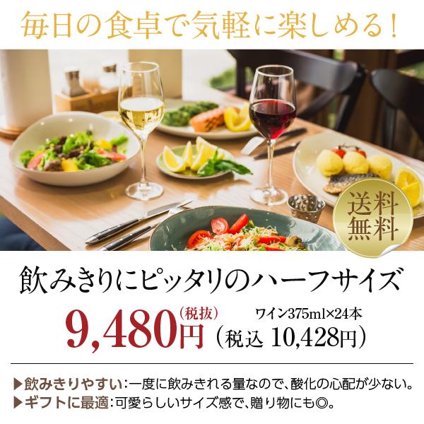 赤ワイン フランス ハーフヴィラ シャヴァン（ヴィラ シャバン） 赤白（各12本） 24本セット 375ml 24本 1ケース包装不可 送料無料 | Domaine Pierre Chavin | 01