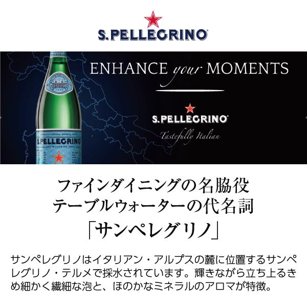 炭酸水 サンペレグリノ 炭酸入りナチュラルミネラルウォーター 瓶 500ml 24本 1ケース 割り材 ソーダ 包装不可 他商品と同梱不可｜felicity-y｜02