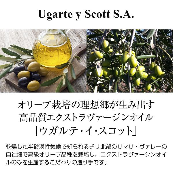 オリーブオイル ソル デル リマリ エキストラバージン オリーブオイル 2025 500ml（456g） 食品 | SOL DEL LIMARI | 01