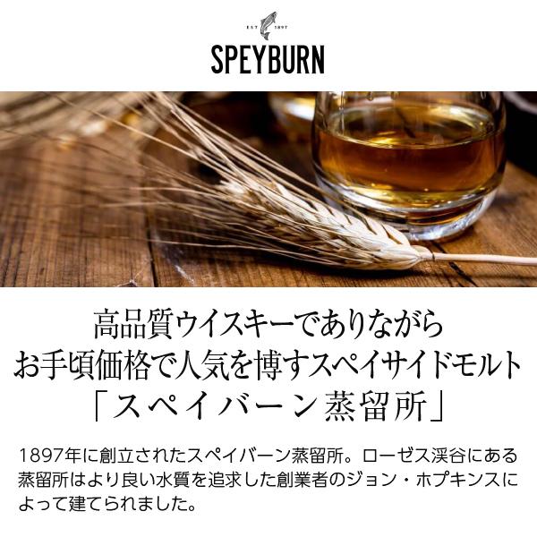 スペイバーン 15年 スペイサイド シングルモルト スコッチ
