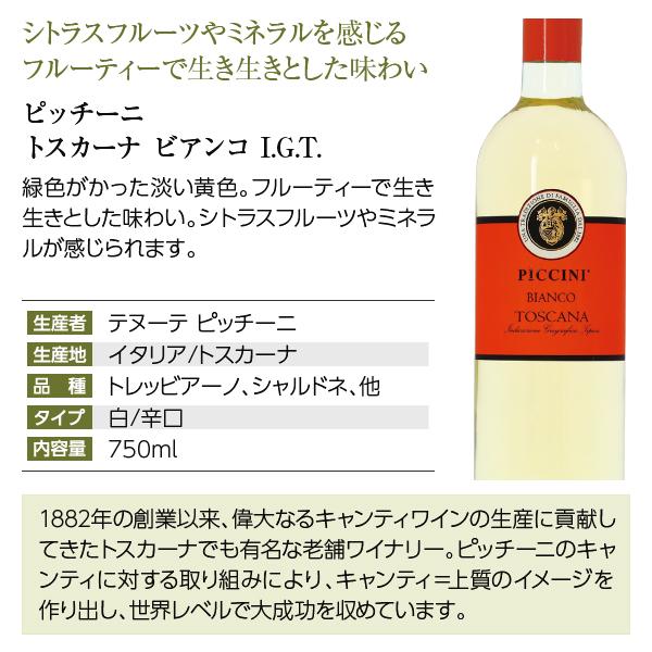 300円OFFクーポン 【13】白ワインセット ワイン王国「イタリア」の白