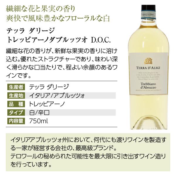 300円OFFクーポン 【13】白ワインセット ワイン王国「イタリア」の白