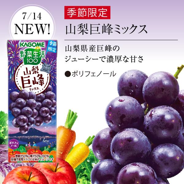 野菜生活100 数量限定 山梨巨峰ミックス カゴメ 195ml 紙パック 24本×2