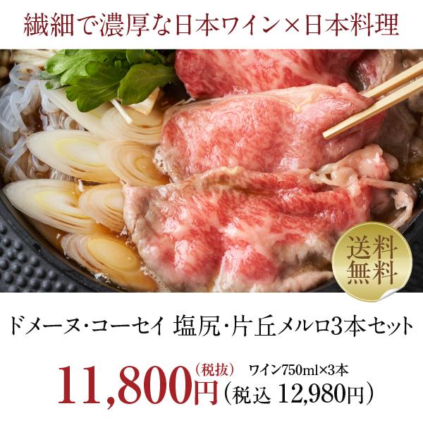 送料無料 赤ワインセット ドメーヌ コーセイ 塩尻・片丘メルロ 3本セット 750ml×3 包装不可 飲み比べ ワインセット｜felicity-y｜02