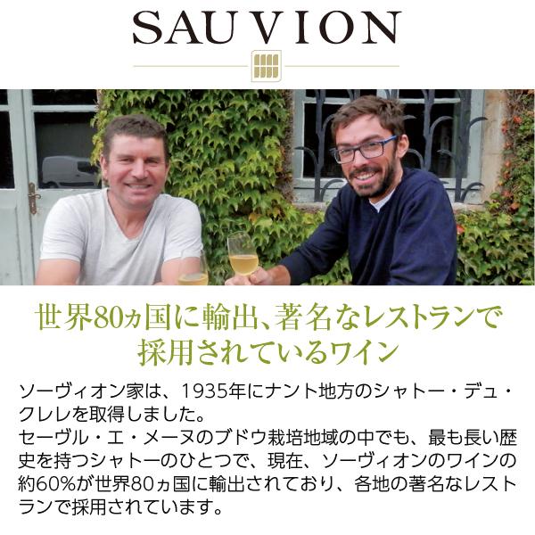 爽やかな春を楽しむ ソーヴィオン 飲み比べ セット 750ml×3 送料無料 包装不可 白 ワイン セット｜felicity-y｜02