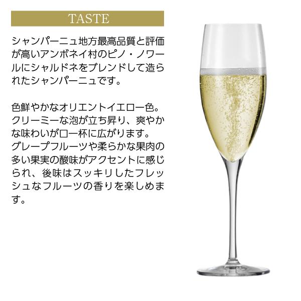 シャンパン フランス シャンパーニュ レオポルディーヌ ソウメイ シャンパーニュ ブリュット ナチュール 正規 箱なし 750mlの画像