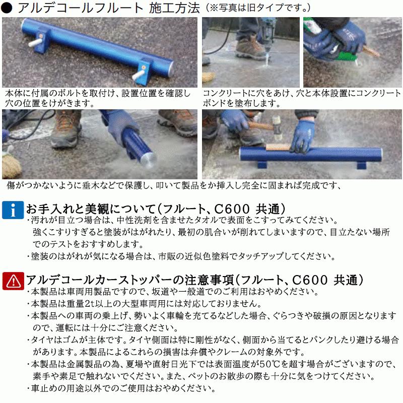 新品 フルート Muramatsu Flute SR-CCE 全彫刻 | Brasstek Online Store