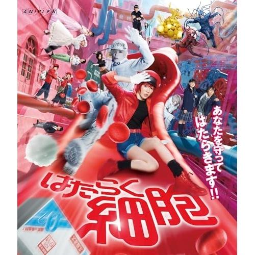 ソニーミュージック（Sony Music） BD/邦画/はたらく細胞(Blu-ray