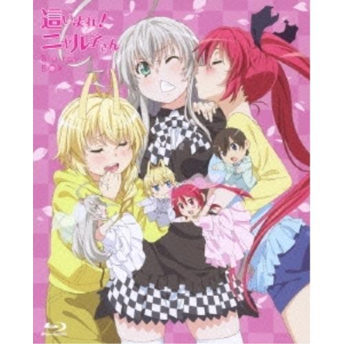 41 割引正規品販売 Tvアニメ 這いよれ ニャル子さんbd Box 仮 Blu Ray 本編ディスク3枚 特典ディスク1枚 初回生産限定版 アニメーション Dvd 映像ソフト Littlestaruc Com