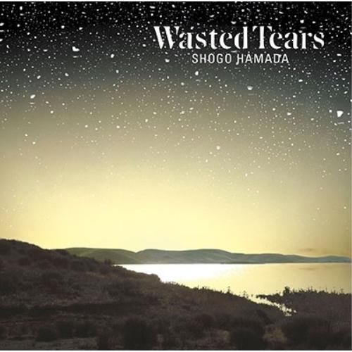 CD/浜田省吾/WASTED TEARS : secl-3016 : Felista玉光堂 - 通販 