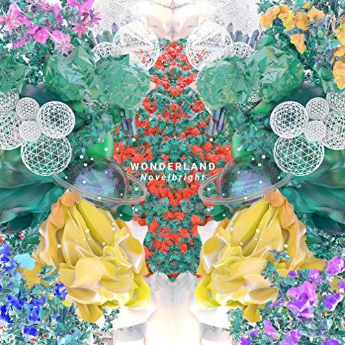 ミュージシャン Novelbright PROFILE | Novelbright OFFICIAL SITE