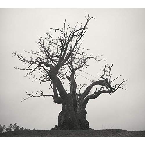 CD/SEKAI NO OWARI/SEKAI NO OWARI 2010-2019 (通常盤)（Yahoo!・Felista玉光堂）