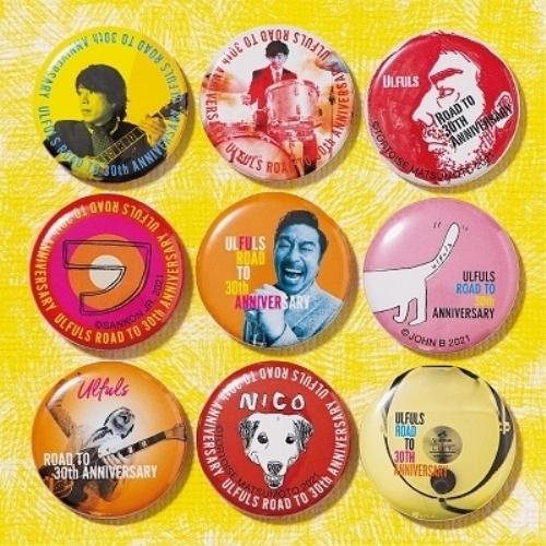 Cd ウルフルズ フル盤 歌詞付 通常盤 Felista玉光堂 通販 Paypayモール