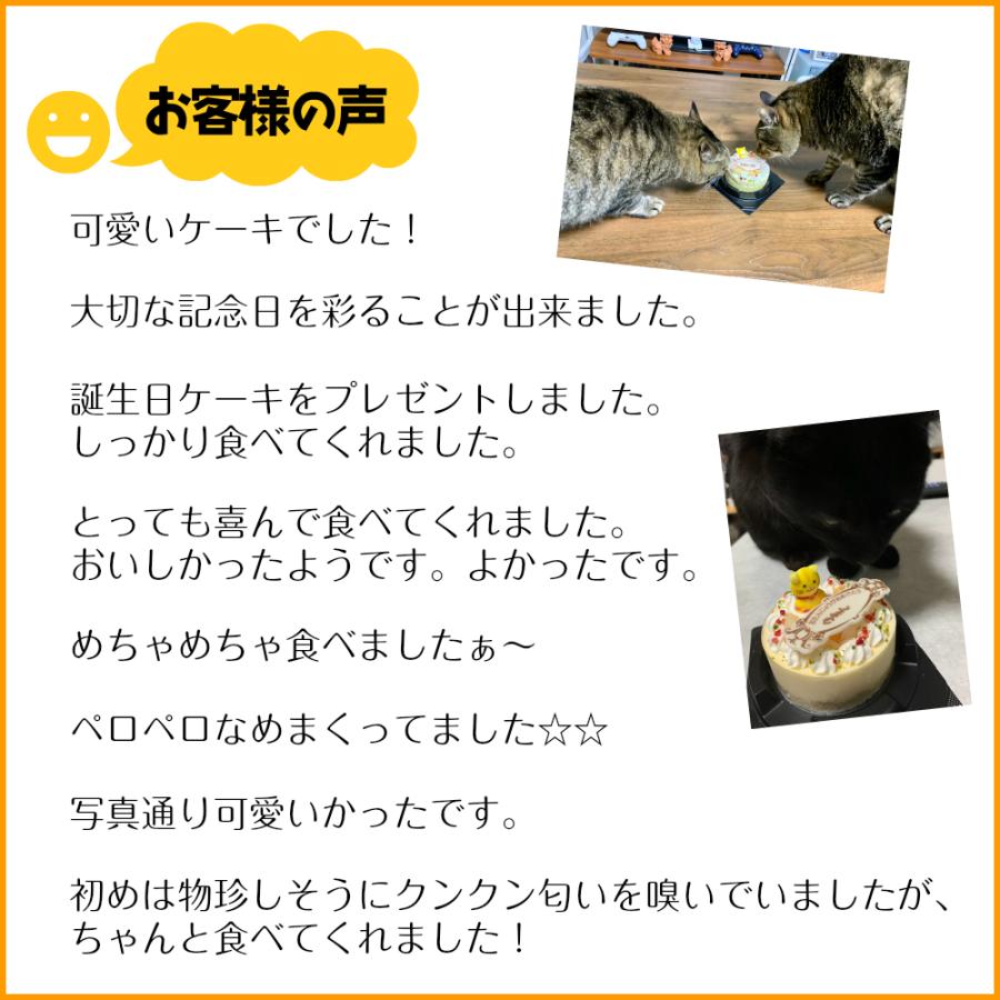 新商品) ねこちゃん大好き！ 猫用ケーキ バースデーケーキ レアチーズ cat ペットケーキ 誕生日ケーキ neko cake ネコ用 誕生日ケーキ  キャットフード