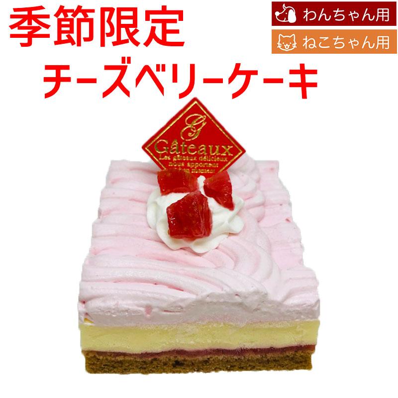 季節限定 犬用 猫用 苺とチーズを使用した チーズベリーケーキ パートナー