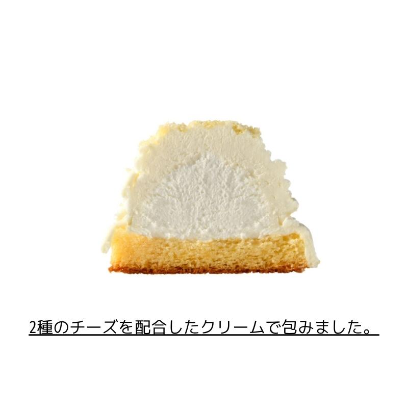 犬用 猫用 ケーキ ご褒美モンブラン 2種のチーズ味 バースデーケーキ