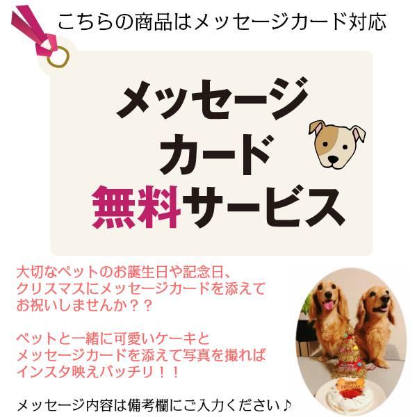 犬 ケーキ 誕生日 ご飯 わんちゃんお誕生日 パーティーセット ピザーラ テリヤキチキンピザとコミフデリビーフWANバーガーのセット 送料無料｜feliz-plus｜09