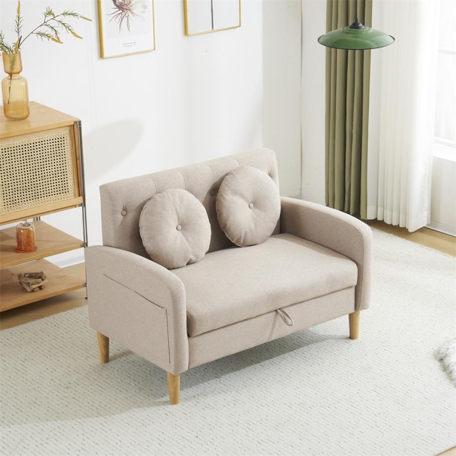 ソファ ソファー 2人掛けソファ 収納付き コンパクト 2個クッション