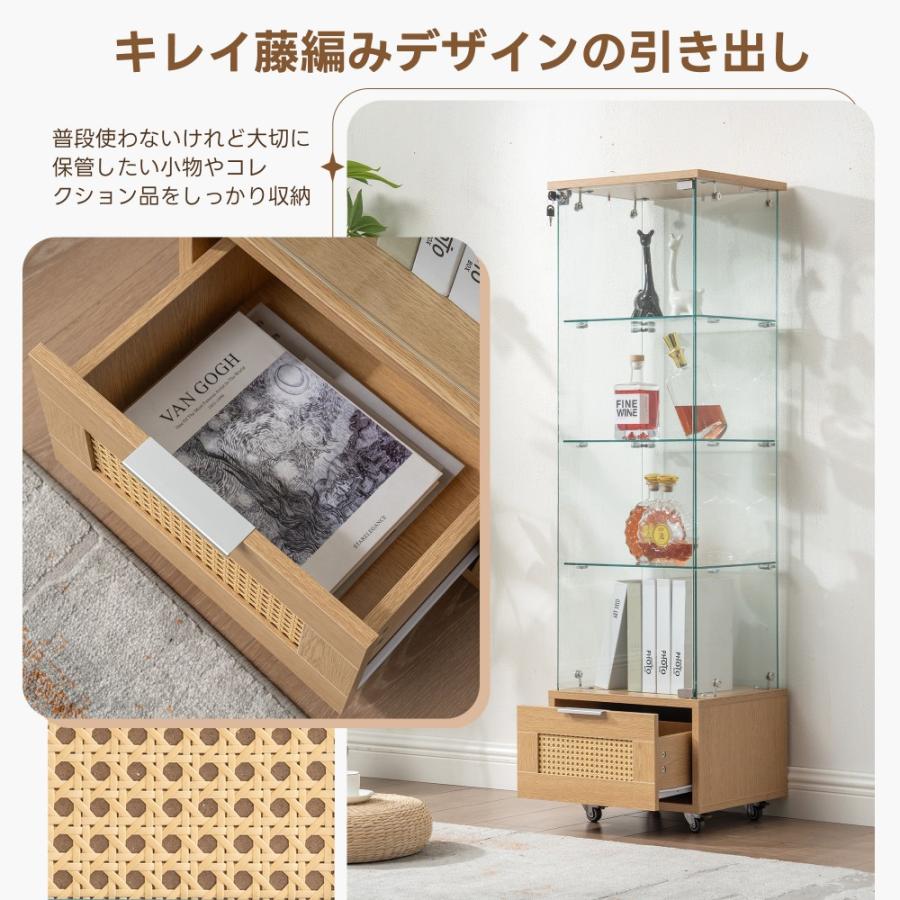 全ストア5%OFFクーポン利用】コレクションケース 両扉タイプ 大型