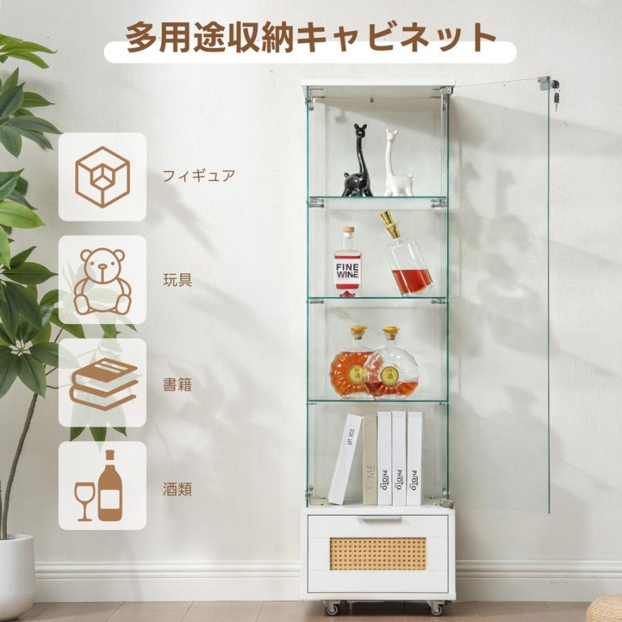 全ストア5%OFFクーポン利用】コレクションケース 両扉タイプ 大型