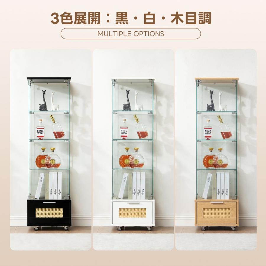 全ストア5%OFFクーポン利用】コレクションケース 両扉タイプ 大型