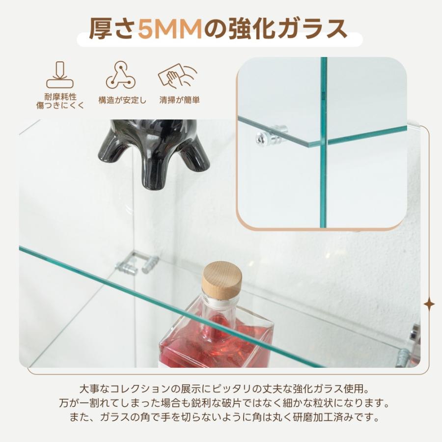 全ストア5%OFFクーポン利用】コレクションケース 両扉タイプ 大型