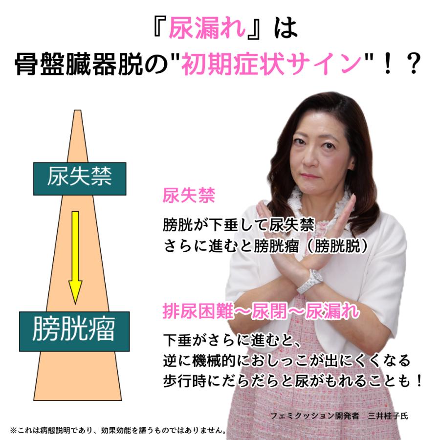 フェミクッション 【(ベルトレス) スターターキット】※使い捨て