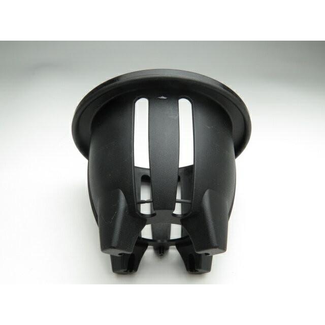 風蘭 フウラン 富貴蘭 プラ鉢 縦割れ 3.5号 : フェニックスガーデン