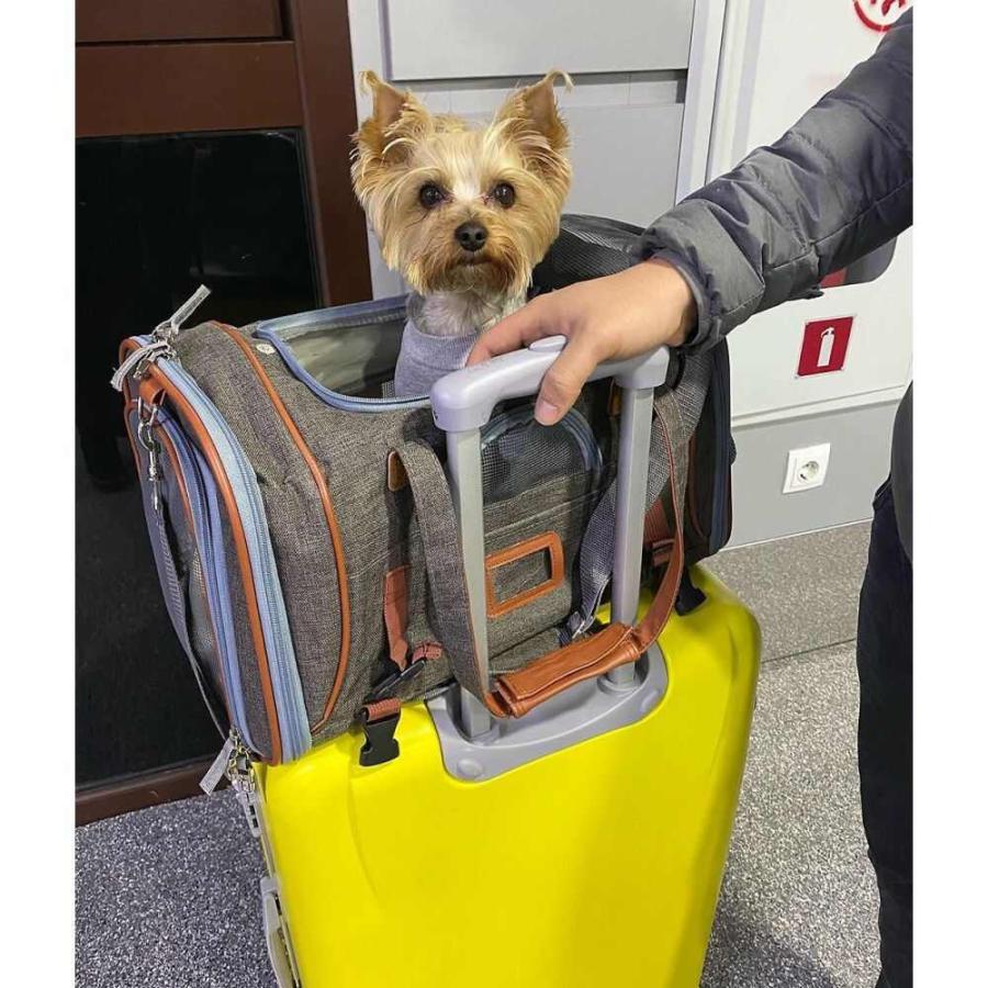 楽天1位 Mr Peanut S ミスター ピーナッツ ペットグッズ 犬用品 キャリーバッグ Gold Series Airline Approved Dog Cat Carrier Bag 楽天市場 Southpointbd Com