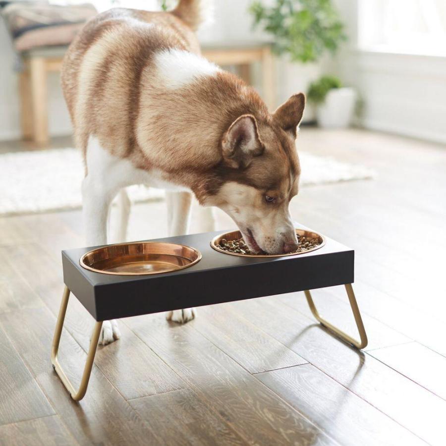 Frisco フリスコ ペットグッズ 犬用品 食器 フードボウル Copper Stainless Steel Elevated Foldable Double Dog Cat Bowls Pc2 Ffd1b フェルマート ペット Fermart Pet 通販 Yahoo ショッピング