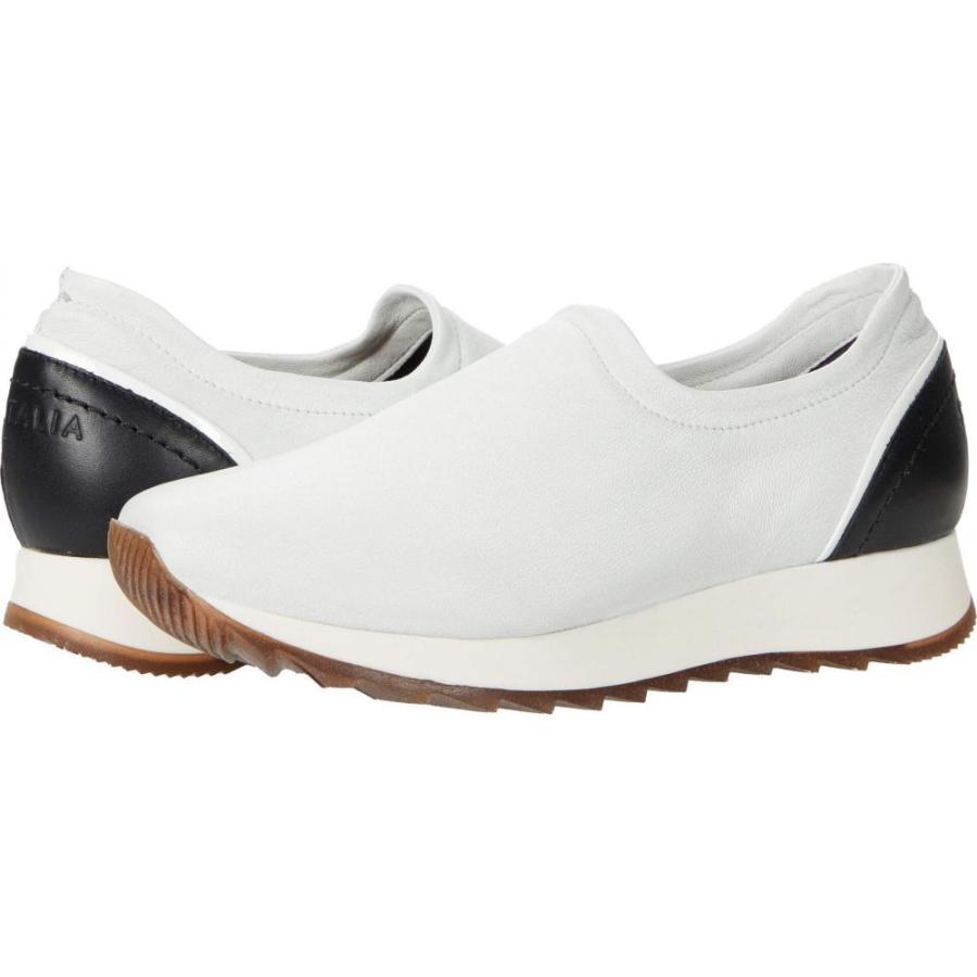 早者勝ち アクアタリア Aquatalia レディース スニーカー シューズ 靴 Daelyn Cream Black White Soft Nappa Soft Calf シニアファッション Www Skylanceronline Com