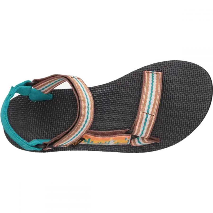 teva sunflower