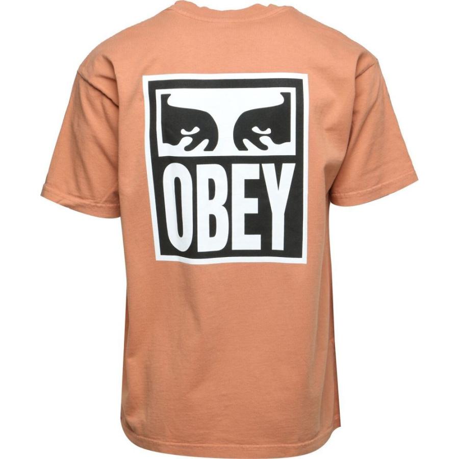 オベイ Obey メンズ Tシャツ トップス Eyes Icon 2 T-Shirt Pheasant 