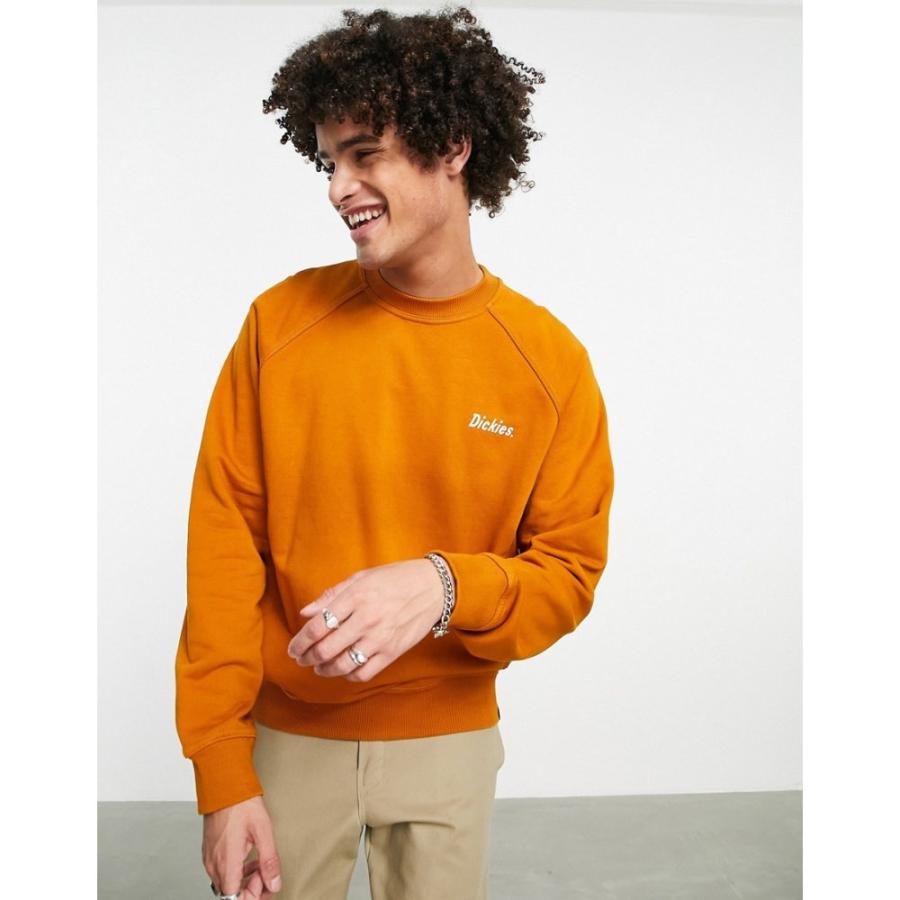 魅力的な価格 ディッキーズ オレンジ Rust In Sweatshirt Print Back Bettles トップス スウェット トレーナー メンズ Dickies トレーナー サイズ S Www Quantumbytestore Com