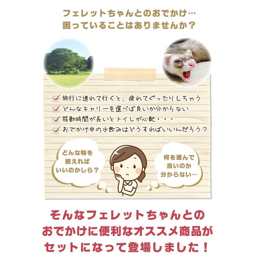 フェレット キャリー セット商品 おでかけセットａ お出掛け ハードキャリー キャリーバッグ 外出 散歩 水飲み トイレ ハンモック ペットボトル 小動物 フェレットワールドヤフーショップ 通販 Yahoo ショッピング