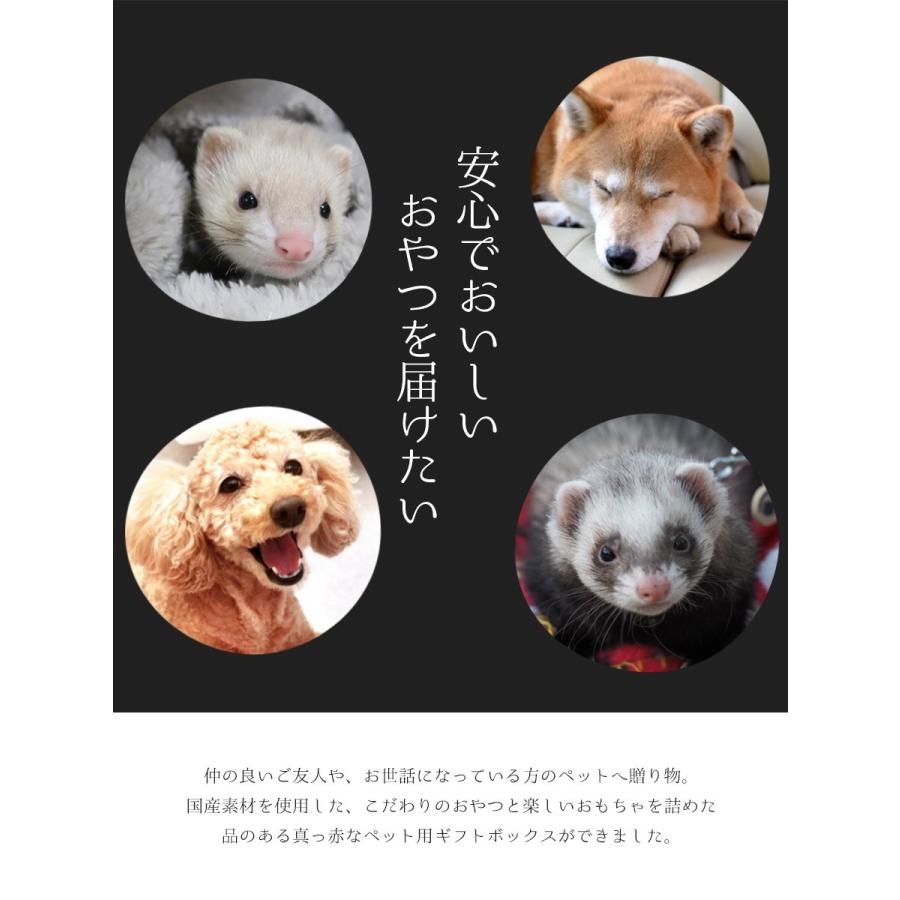 ペット ギフト ギフトセット 和風box A 01 犬 フェレット 小動物 セット プレゼント 誕生日 お祝い 犬用ギフト おもちゃ 雑貨 音鳴り 粗品 ラッピング フェレットワールドヤフーショップ 通販 Yahoo ショッピング