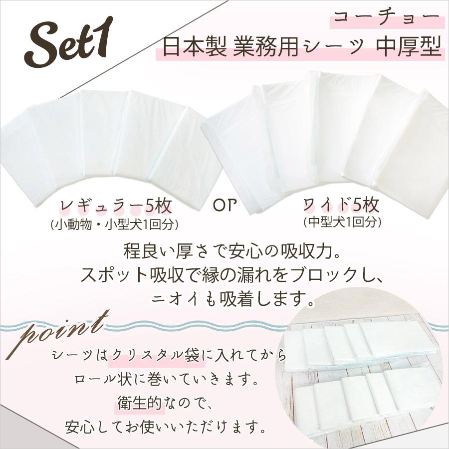 ペット ギフト ギフトセット ペットシーツケーキ 犬 ドッグ フェレット