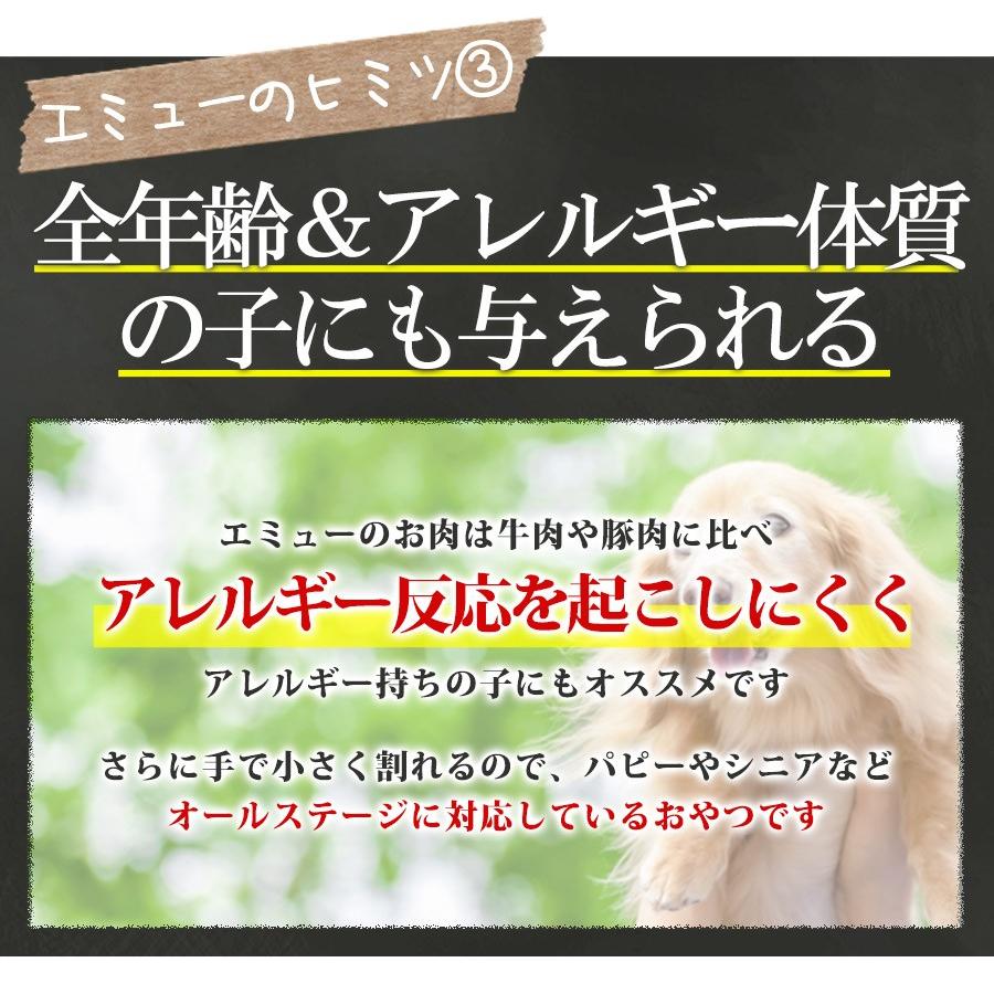 フェレット おやつ セット商品 超極み北海道産エミュー スティック チップ セット ヘルスチャージシリーズ 国産 完全無添加 犬 猫 フード エサ 国産 フェレットワールドヤフーショップ 通販 Yahoo ショッピング