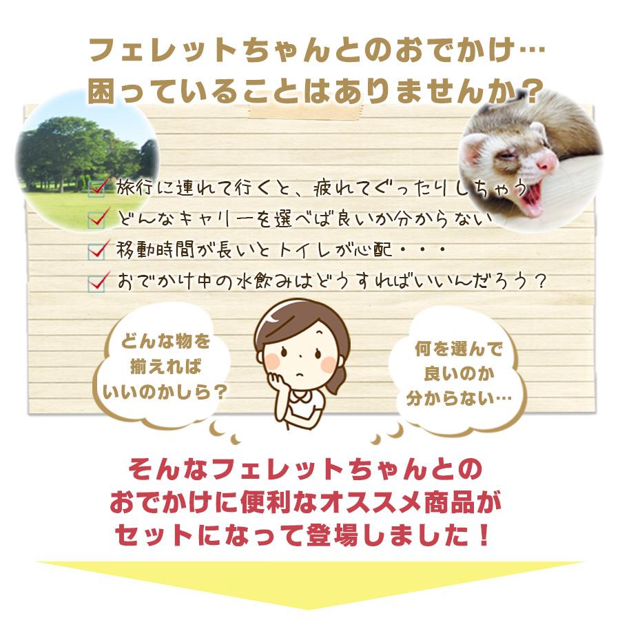 フェレット お出掛け セット商品 おでかけセットA ハードキャリー