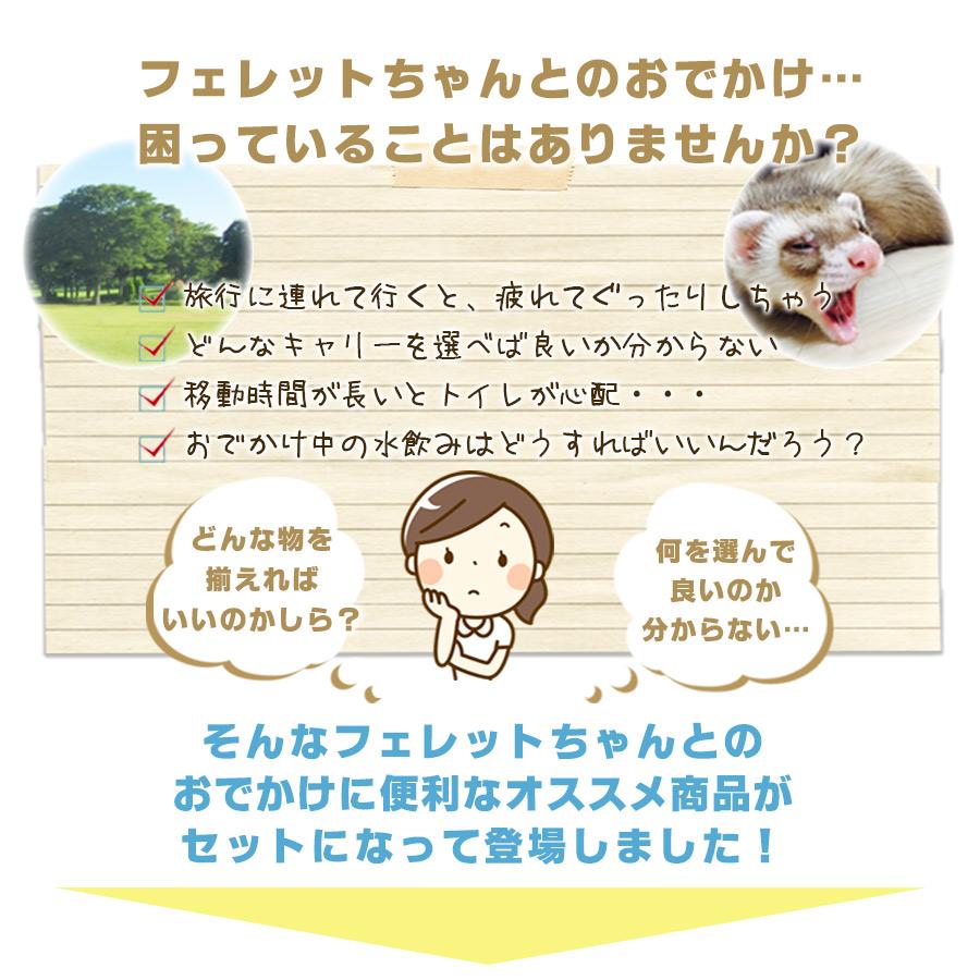 フェレット お出掛け セット商品 おでかけセットB ハードキャリー