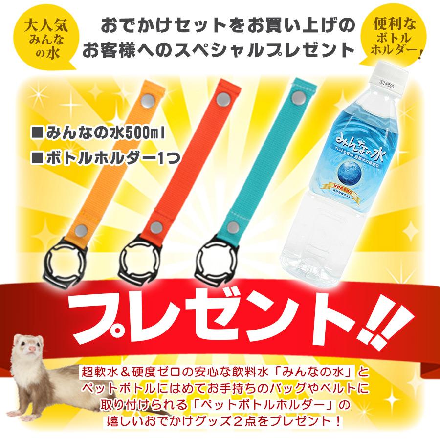 フェレット お出掛け セット商品 おでかけセットB ハードキャリー