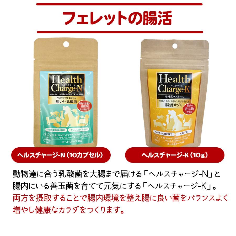 ヘルスチャージ フェレット セット商品 買ってよかった！組み合わせ 