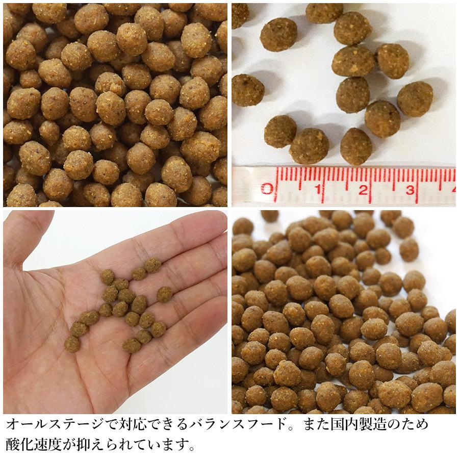 ヘルスチャージ フェレットフード ジャパンフェレミアム 匠味