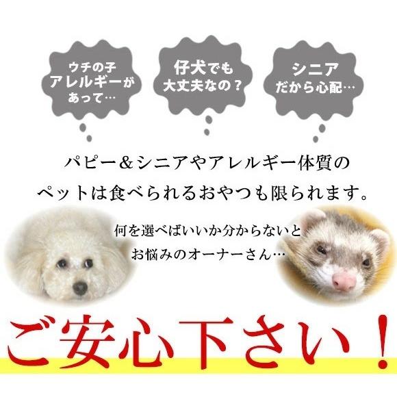 安い 超激レア 600足限定マイクロペーサー 即発 送料込 新品 21新作 Www Thilankahotel Com