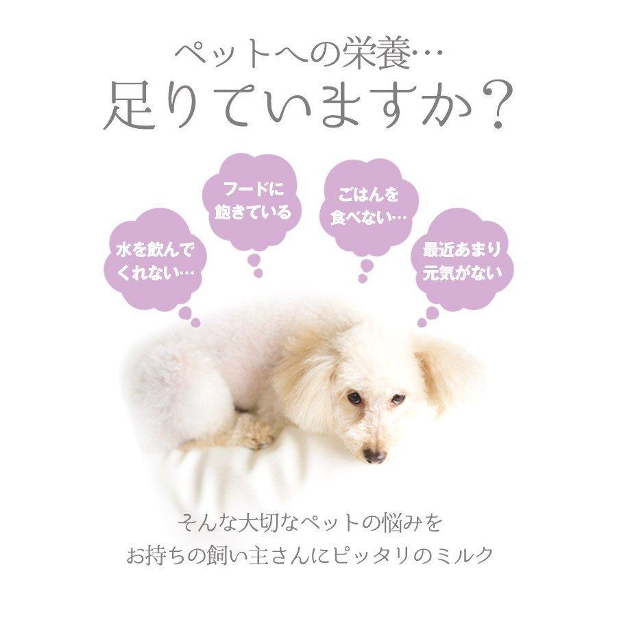 フェレット ミルク ミルク本舗 低カロリー オトナのヤギミルク 80g 犬 ねこ ネコ 猫 無添加 オランダ産 おやつ フード ドッグフード ゆうパケットok フェレットワールドヤフーショップ 通販 Yahoo ショッピング