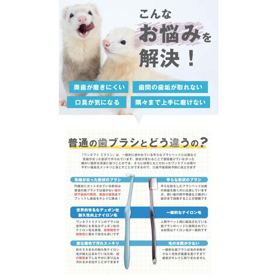 フェレット 歯みがき ワンタフト Miclin S 歯ブラシ やわらかめ 犬 フェレット 小動物 デンタル 口臭予防 歯垢 歯肉 歯周 奥歯 ゆうパケットok フェレットワールドヤフーショップ 通販 Yahoo ショッピング