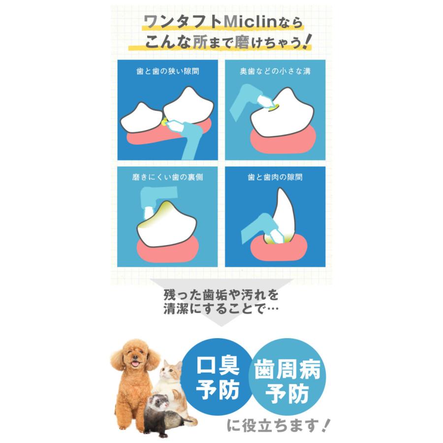 フェレット 歯みがき ワンタフト Miclin S 歯ブラシ やわらかめ 犬 フェレット 小動物 デンタル 口臭予防 歯垢 歯肉 歯周 奥歯 ゆうパケットok フェレットワールドヤフーショップ 通販 Yahoo ショッピング