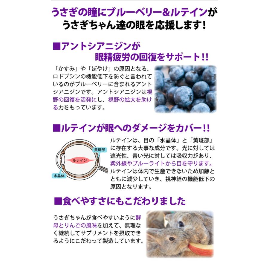 小動物 サプリメント うさぎの瞳にブルーベリー＆ルテイン うさぎ