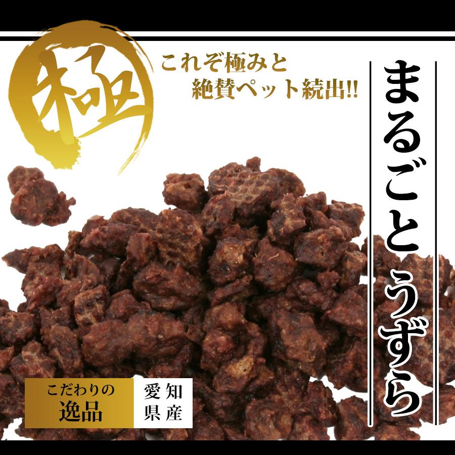 フェレット おやつ 超極み まるごとうずら 30g ヘルスチャージシリーズ 国産  完全無添加  猫 フード ドッグフード ゆうパケットOK｜ferretwd｜02